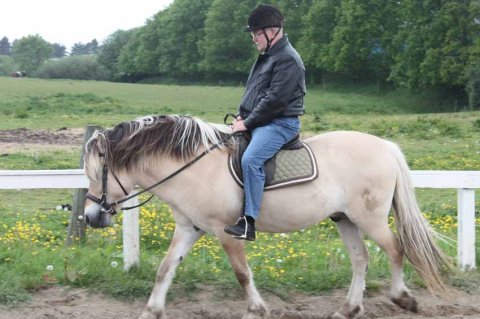 Bjarne til hest Ridetime Bjarne